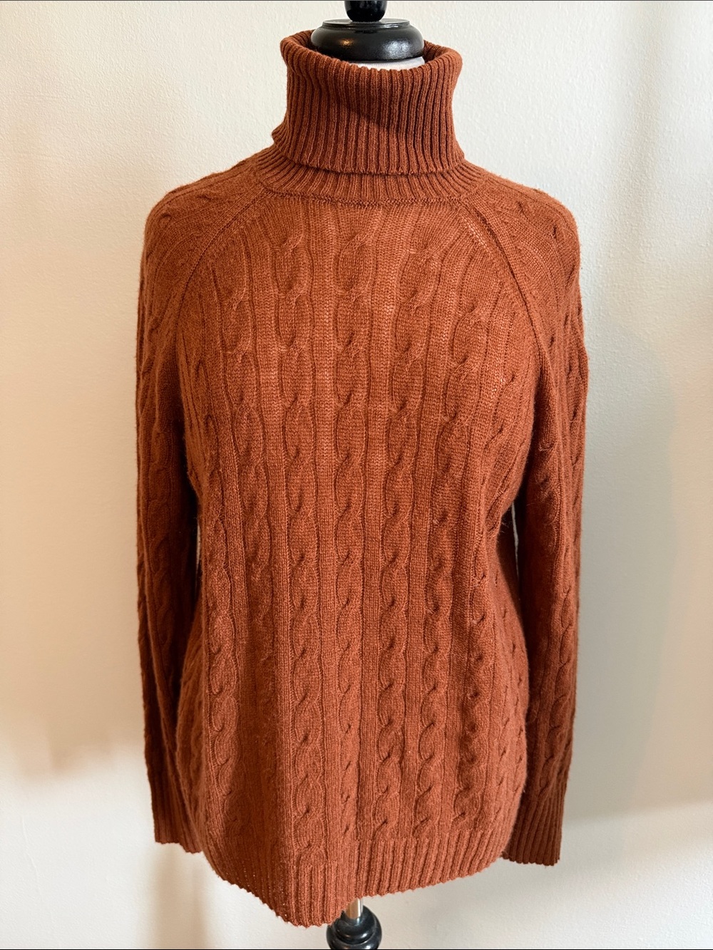 Etro Cable-Knit Turtleneck Sweater in Rust
